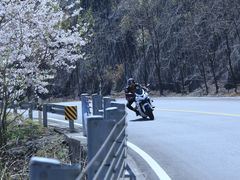 -四明山国家森林公园