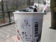 -茶颜悦色(岳麓山顶店)