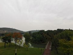 -上海佘山世茂艾美酒店