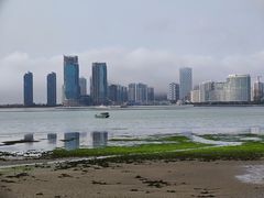 -万绿园