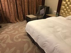 -圣爵菲斯大酒店(长沙世界之窗店)