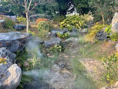 -东莞植物园