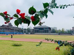 -四川大学(华西校区)