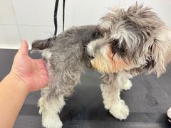 -comecome来吧宠物(奥克斯中心店)