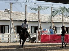 -北京群众马术培训基地