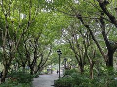 -西湖公园(鼓楼区)
