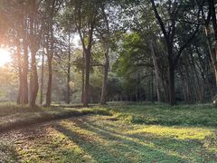 -杭州植物园