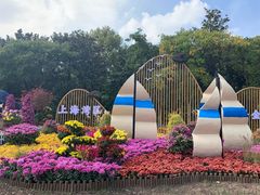 -上海共青森林公园