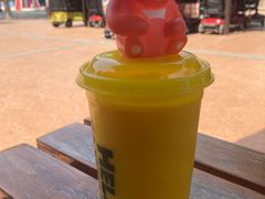 -青岛方特梦幻王国