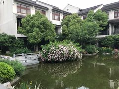 -梁鸿湿地丽笙度假酒店大堂吧