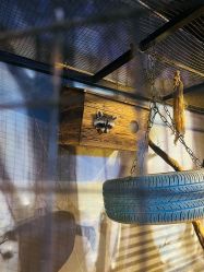 -酷嗒动物文化乐园(cutezoo西溪乐天城店)