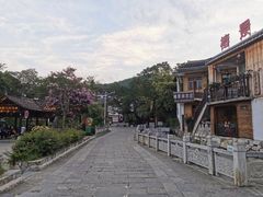 -龙井村