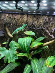 -酷嗒动物文化乐园(cutezoo西溪乐天城店)