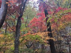 -丹东天桥沟景区