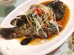 -阿英煲(凉城路店)