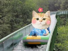 -威海华夏城景区