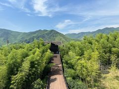-大唐贡茶院