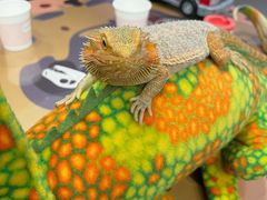 -FAIRYLAND龙族星球主题餐厅(凯丹广场店)