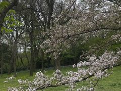 -紫霞湖公园