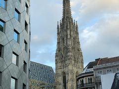 -斯蒂芬主教座堂(Stephansdom)