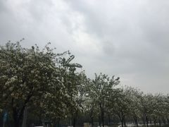 -花都广场