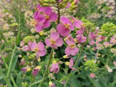 -中国天府农业博览园