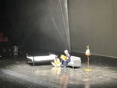 -重庆国际马戏城