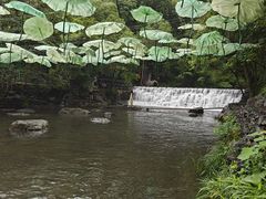 -石台牯牛降景区