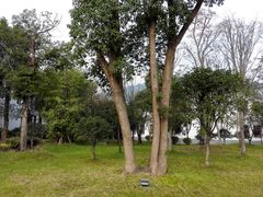 -木子山庄·安徽省老字号·中国炖锅宴