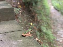 -宁波五龙潭景区