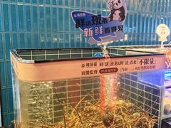 -雍容荟帝王蟹活龙虾展台自助(IFS黑金店)