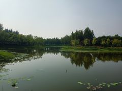 -东郊湿地公园