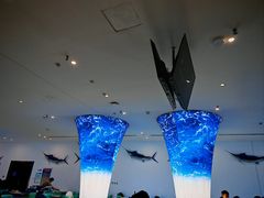 -深海中餐厅(国家海洋博物馆店)