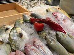 -码头见·潮汕菜(领展中心城店)