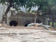 -灵玲国际马戏城