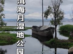-洱海月湿地公园