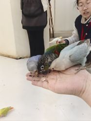 -Moni星球萌宠·小马宝莉·灵蛇·高端高阶全萌宠互动体验俱乐部(红豆国际广场店)