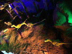 点击看大图 -恐龙探索乐园(磁器口店)