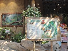 -杭州开元森泊度假乐园