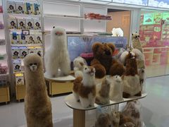 -国药中服免税(北京坊店)