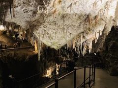 -波斯托伊纳溶洞