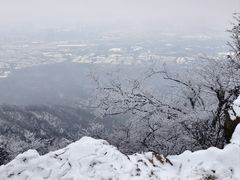 -紫金山山顶公园