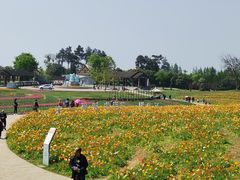 -保利石象湖景区