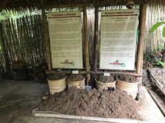 -大象粑粑造纸公园