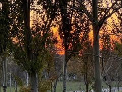 -瀛海足球主题公园