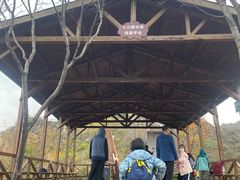 -大岭沟猕猴桃谷风景区