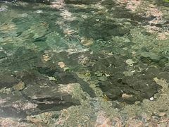 -本溪汤沟绿石谷森林公园
