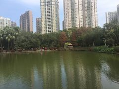-四海公园(南山区)