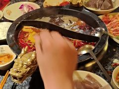 -蜀大侠火锅(总府路店)