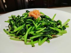 虾皮煎茼蒿-解家河南菜(金水路店)